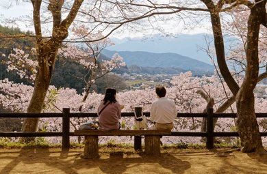 Andy in Japan
